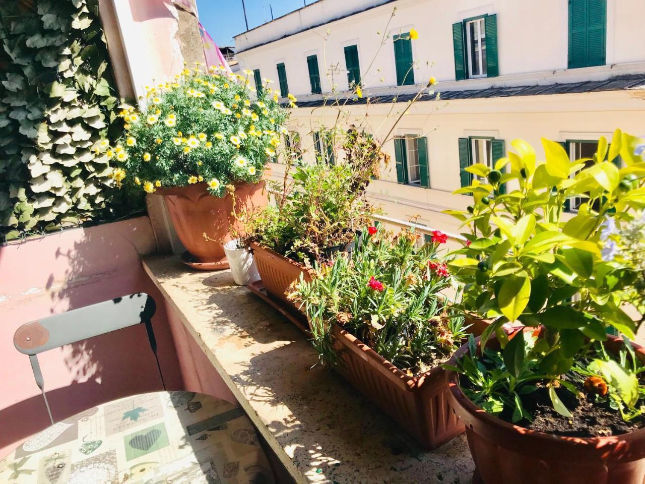 When In Rome Accommodation Экстерьер фото